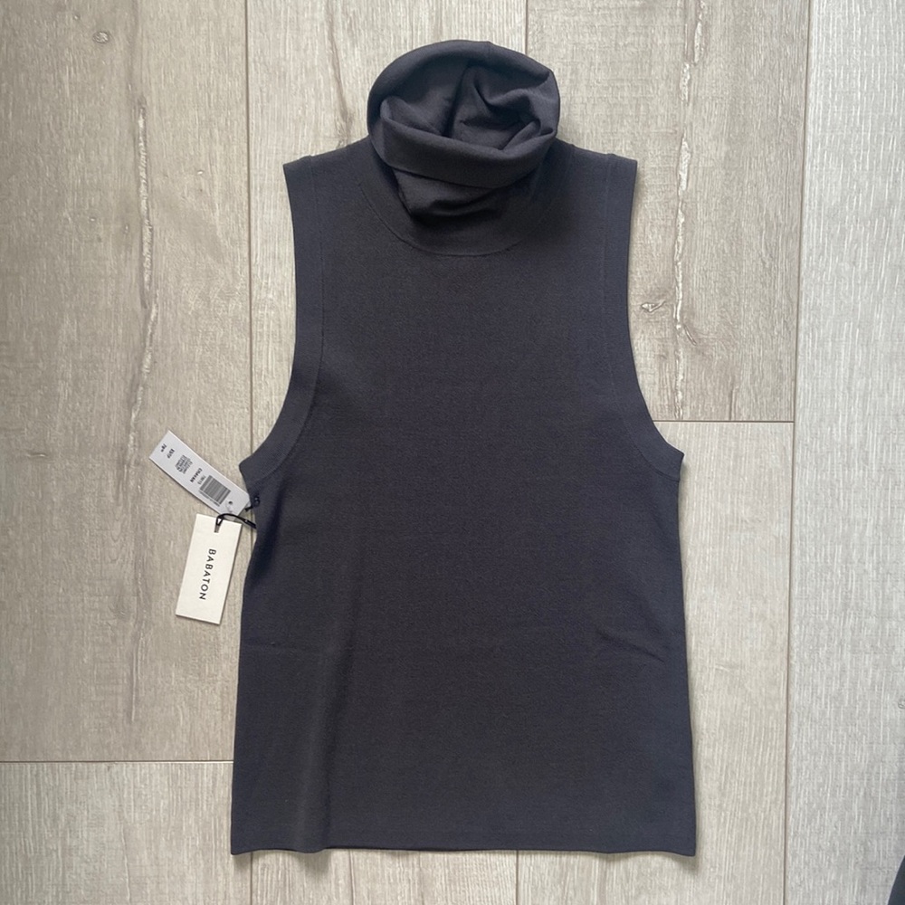 Aritzia Babaton cravan turtleneck